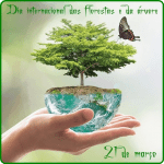 Ajude o Meio Ambiente com a ECOVAGA