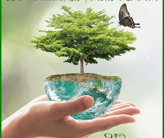 21 de Março – Dia Mundial Da Floresta e da Árvore