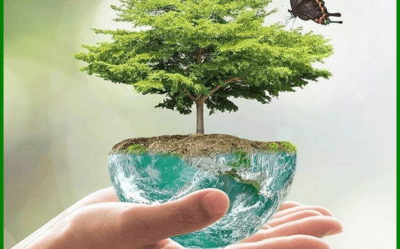 Ajude o Meio Ambiente com a ECOVAGA